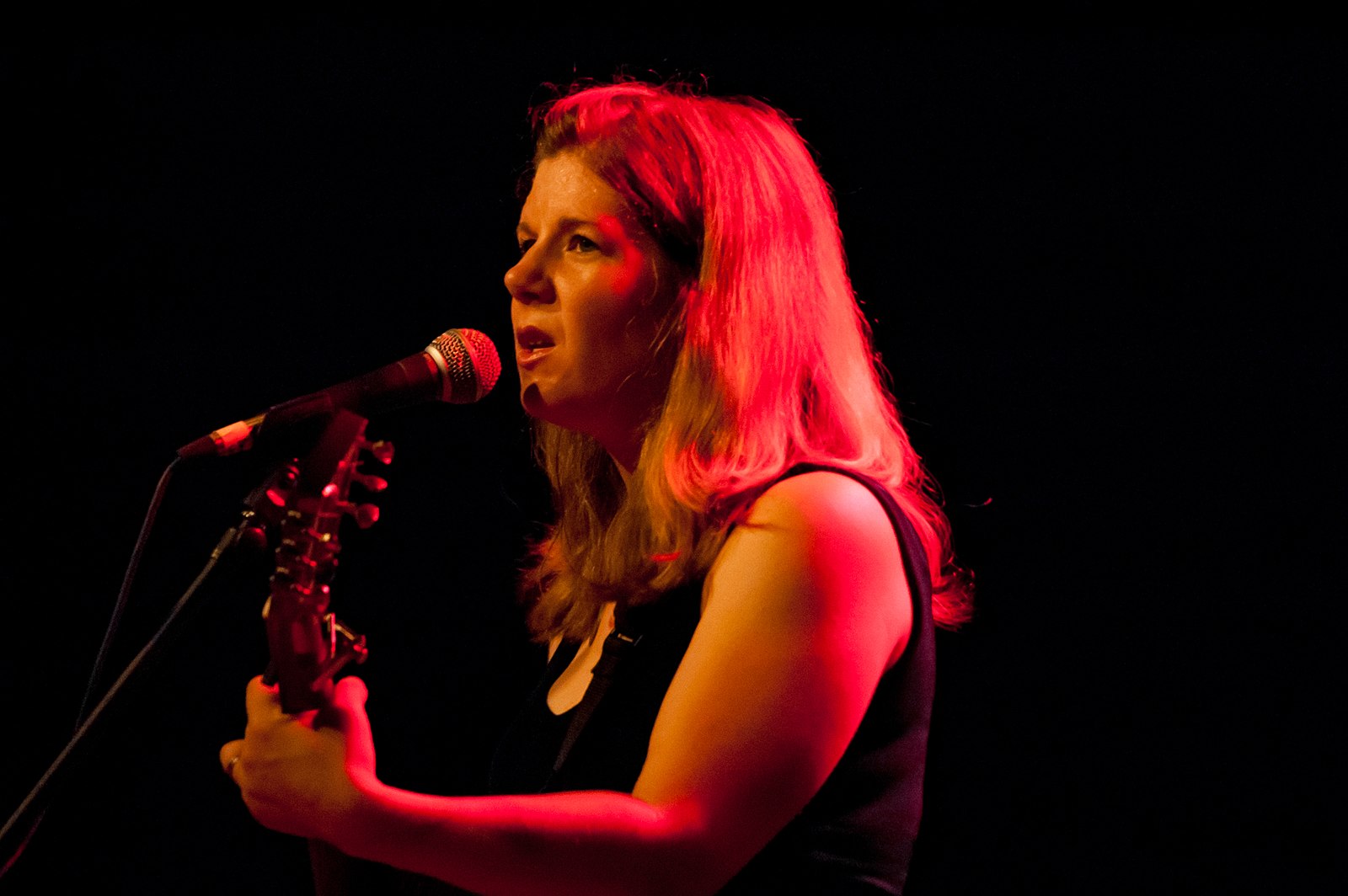 Dar Williams 'The Honesty Room' (1993) Grey Matter
